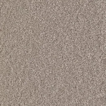 Draufsicht Girloon Cloud 841 Velours Teppichboden